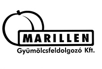 partner 7
